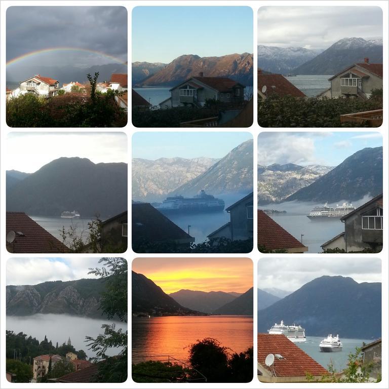 Apartments Djuricic Kotor Habitación foto